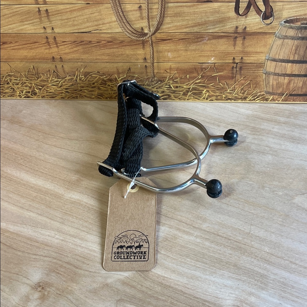 Black and Silver English Spurs